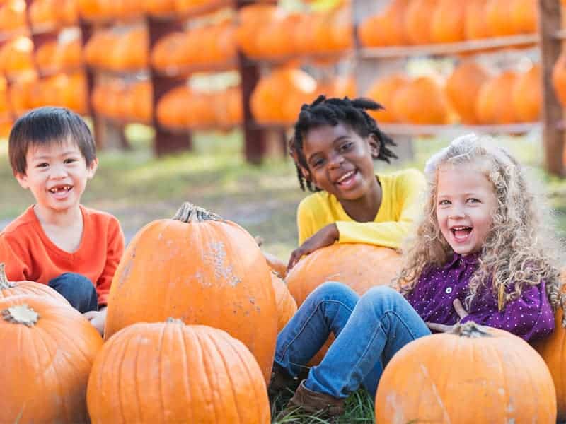 Visiting a Pumpkin Patch with Children 