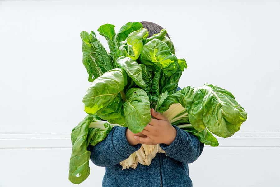 Image of child holding fresh greens